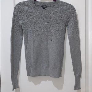 Express silver glitter gray sweater